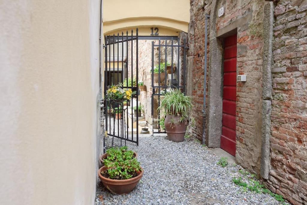 Corte Paolina - Charming Courtyard Inside Lucca Exterior photo